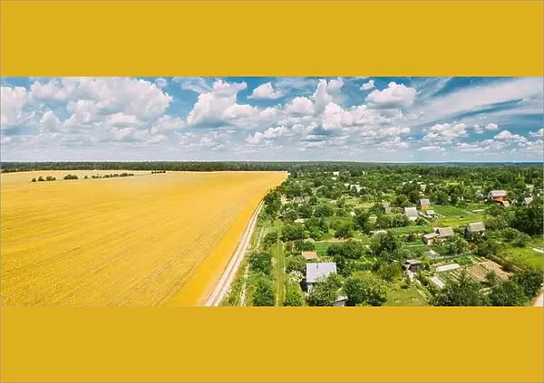 Countryside Rural Landscape With Small Village, Gardens And Yellow Wheat Field In Spring Summer Day. Elevated View. Panorama