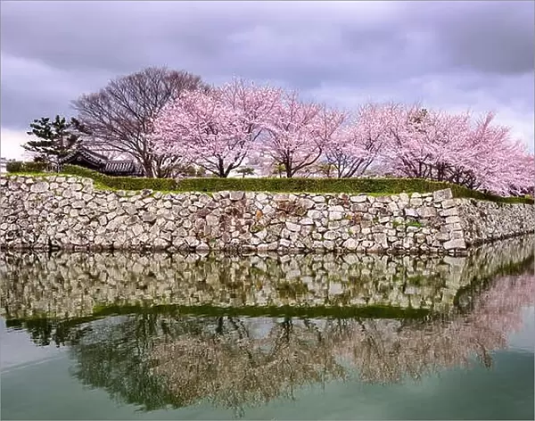 Himeji, Japan at Himeji Castle in spring season