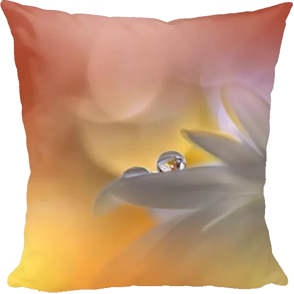Beautiful Macro Photo.Dream Flowers.Floral Art Design.Magic Light.Close up Photography.Conceptual Abstract Image.Yellow and Orange Nature Background