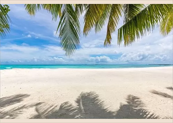 Palm tree leaves over luxury beach. Perfect tropical white sand beach with coconut palm, summer vacation holiday background concept