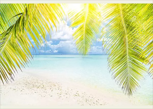 Palm and sea with sky. Tropical beach banner. Tranquil scenery, relaxing beach, tropical landscape design. Moody landscape