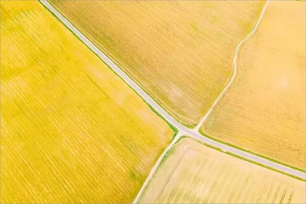 Multicolored Clusters Of Agricultural Fields Sown With Different Crops. Aerial View. Beginning Of Agricultural Spring Season. Countryside Rural Fields