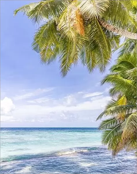 Tropical nature beach, palm tree leaves over exotic seascape with summer vibes. Dream travel vacation beach view, ocean horizon, idyllic scene