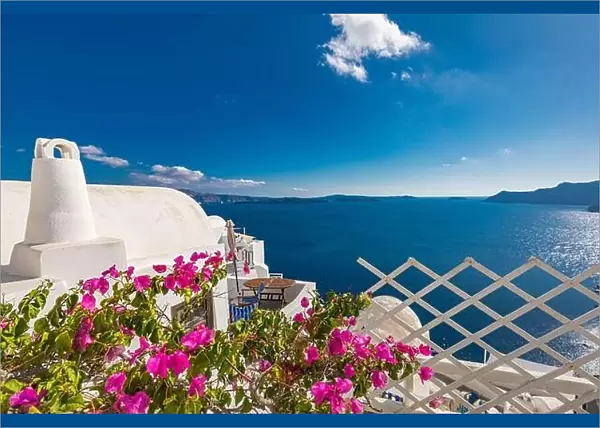 Artistic travel landscape, Santorini, Greece. Famous view of traditional white architecture landscape with flowers in foreground. Summer vacation