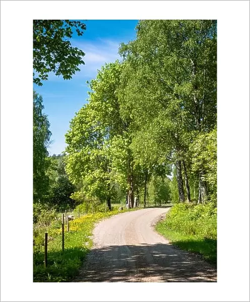 Scenic countryside landscape with curvy road and fence at sunny summer day at Finland