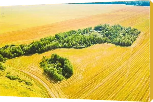 Green Forest Island With Green Grass, Forest In Summer Rural Field. Aerial View Of Summer Hay Landscape. Harvest Season Time. Cut Dry Grass Turned