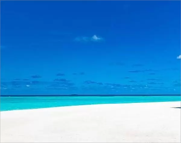 Summer beach banner. Coast, shore with white sand palm trees endless sea view. Tranquil nature, relax view. Tropical idyllic paradise island panorama