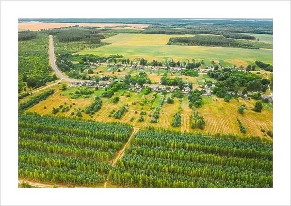 Aerial View Green Forest Deforestation Area Landscape Near Village. Top View Of New Young Growing Forest. European Nature From High Attitude In Summer