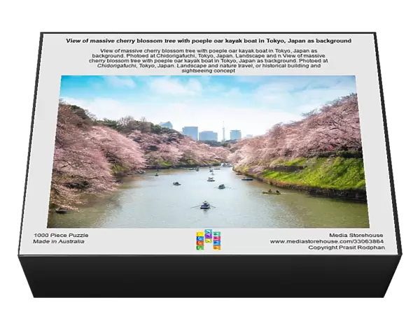 View of massive cherry blossom tree with poeple oar kayak boat in Tokyo, Japan as background. Photoed at Chidorigafuchi, Tokyo, Japan. Landscape and n