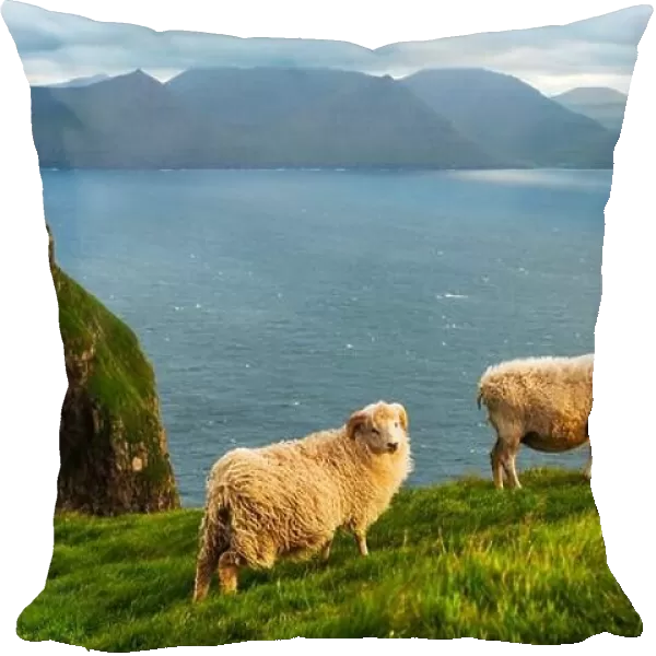 Morning view on the summer Faroe islands with two sheeps on a foreground. Kalsoy island, Denmark. Landscape photography