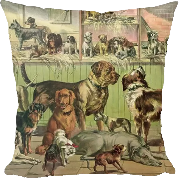 assorted dogs vintage artwork