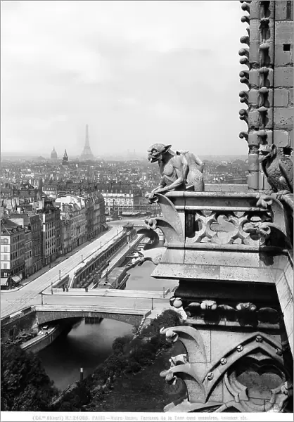 Paris, Notre Dame, Terrasse de la Tour avec monstres, animaux