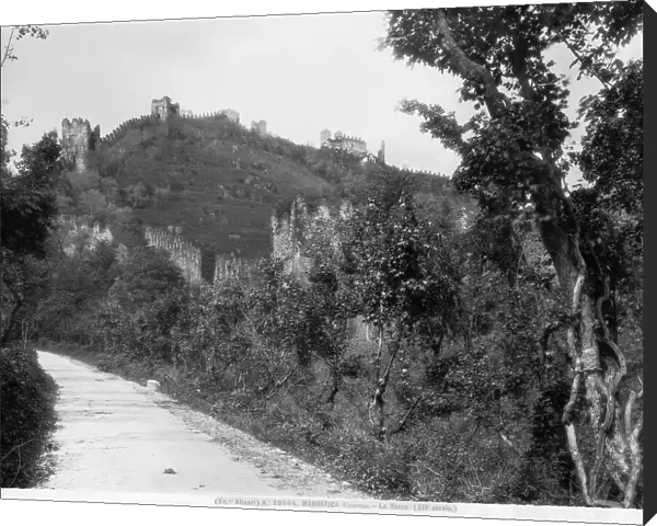 View of the hill Pausolino with fortifications that rise to the Upper Castle, Marostica