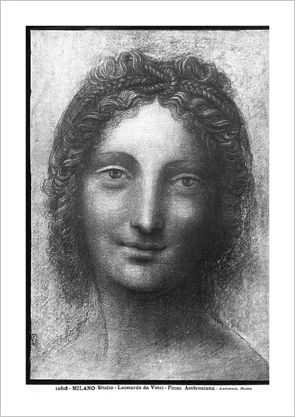Study of a female head. Drawing attributed to Leonardo da Vinci, preserved in the Ambrosian Library, Milan