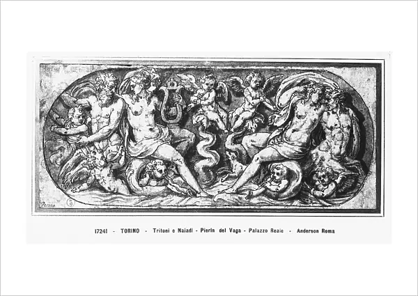 Tritons and Naiads, drawing by Perin del Vaga, preserved in the Royal Library, Turin