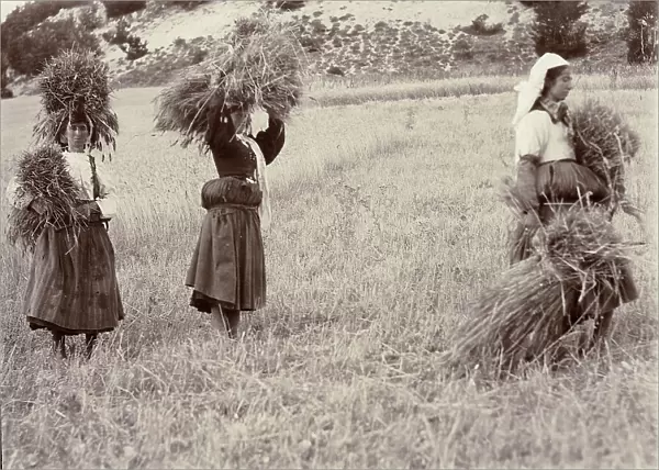 Women in traditional clothes carry the hay