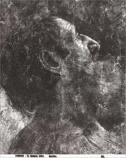 Head of an elderly man in profile. Drawing by Savoldo, in the Gabinetto dei Disegni e delle Stampe, at the Uffizi Gallery in Florence