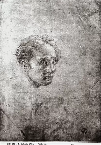 Face of a man. Drawing by Pontormo, in the Gabinetto dei Disegni e delle Stampe, at the Uffizi Gallery, in Florence