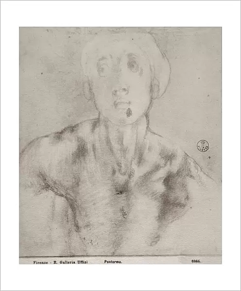 Face of a young man. Drawing by Pontormo, in the Gabinetto dei Disegni e delle Stampe, at the Uffizi Gallery in Florence