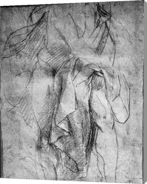 Male nude and drapery. Study by Federico Barocci preserved in the Department of Drawings and Prints, Uffizi Gallery, Florence