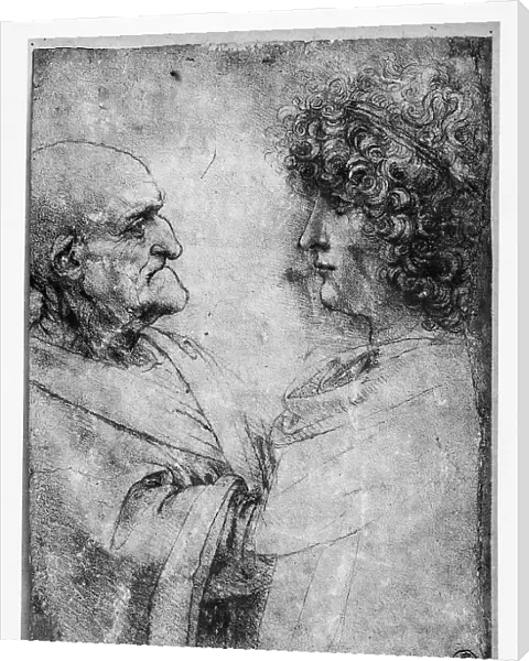 Drawing by Leonardo da Vinci of two male figures. On the right, a youth with a thick head of hair is visible, while on the left is bald elderly man. Work located in the Room of Drawings and Prints in the Uffizi Museum