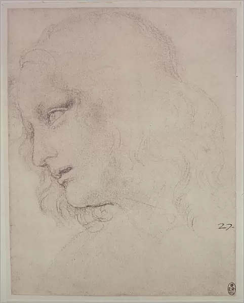 The head of St. Phillip, study for the Last Supper by Leonardo da Vinci; pencil drawing on gray paper, preserved at the Royal Library of Windsor