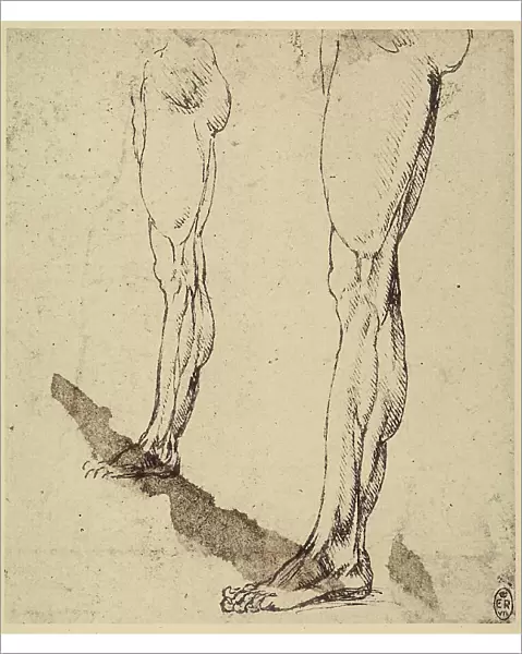 Study of legs, by Leonardo da Vinci, silver point and pen drawing on white paper. The work is preserved in the Royal Library of Windsor