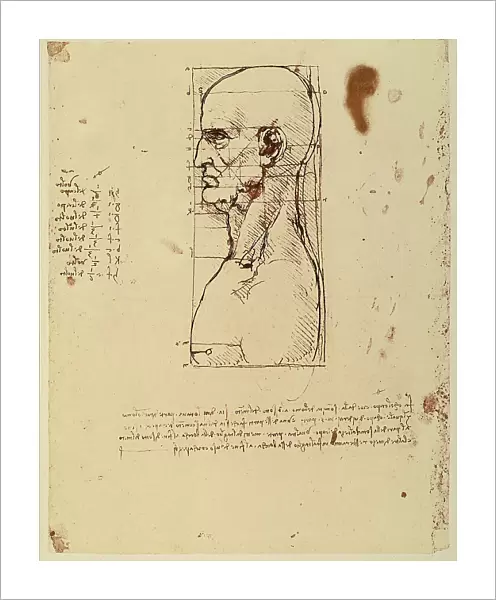 Study of the head of a man with the outline of its proportions; pen drawing on paper turned yellow, preserved at the Gallery of the Academy, Venice