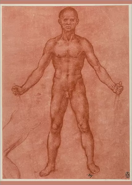 Frontal study of a male nude with open arms and legs, sanguine drawing on red paper by Leonardo da Vinci and preserved at the Royal Library of Windsor