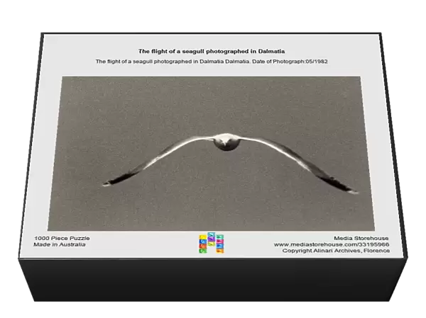 The flight of a seagull photographed in Dalmatia