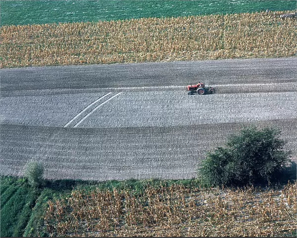 Cultivated crops in the so called 'Terra di Lavoro', surrounding area of Caserta