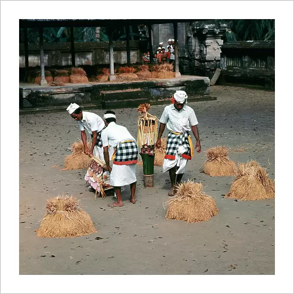 Sunda Islands, the rice: crop propitiatory procession in Bali