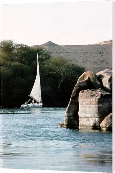 Aswan. Graves of holy men on the hill above the first cataract (even with the hawk that flies)