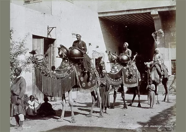 Small procession of richly caparisoned camels on the occasion of an arabian nuptial ceremony. The exotic animals, photographed along the street of a town in Egypt, are carrying two drummers on their backs