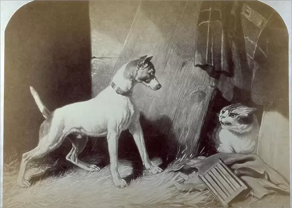 Picture of an engraving of the painting by De Drux entitled Dog and Cat