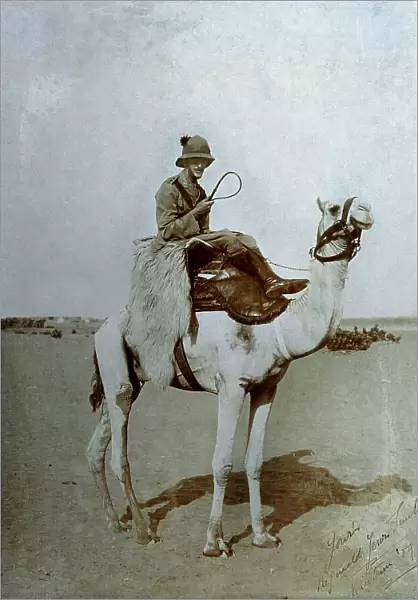 Young officer of the english colonial troops on the back of a dromedary in a desert zone of the Sudan. The officer, seated on a saddle covered by animal fleece, holds a whip in his right hand