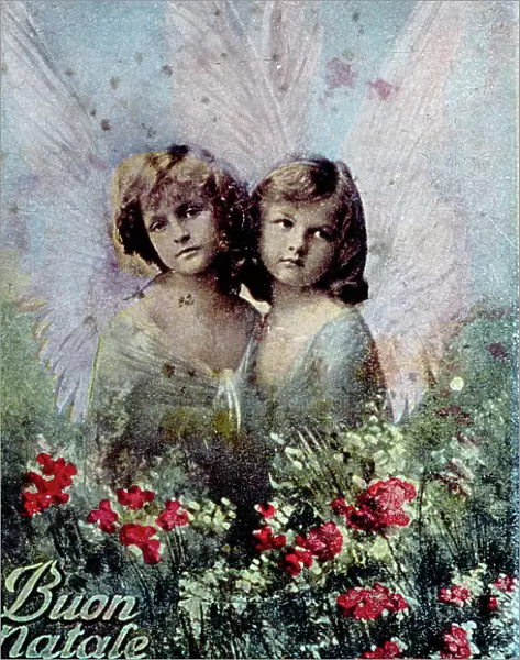 Post card with Christmas greetings with two little girls as angels with long feathered wings. A field of roses in the foreground completes the photomontage