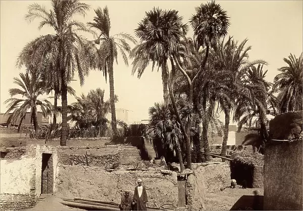 View of a street in a Nubian village near Luxor in Upper Egypt, with a palm tree and houses built with raw bricks. Two locals of the village are posing in the center of the image
