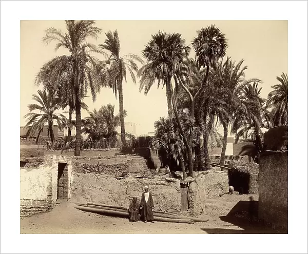 View of a street in a Nubian village near Luxor in Upper Egypt, with a palm tree and houses built with raw bricks. Two locals of the village are posing in the center of the image