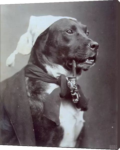 A hound dog wearing a bonnet, handkerchief around its neck and a pipe in its mouth