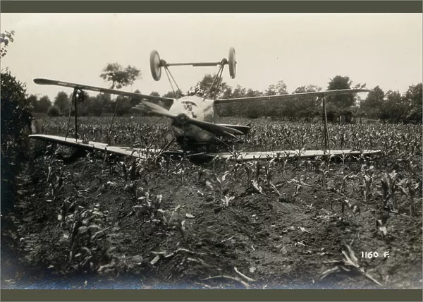 Plane crashed in a field during the First World War