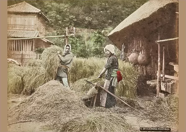 Two farmers during cleaning of rice field, Japan