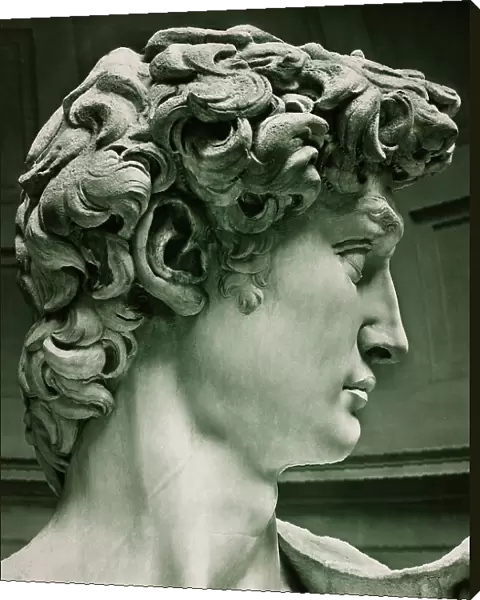David, detail, marble, Michelangelo Buonarroti (1475-1564), The Accademy Gallery, Florence