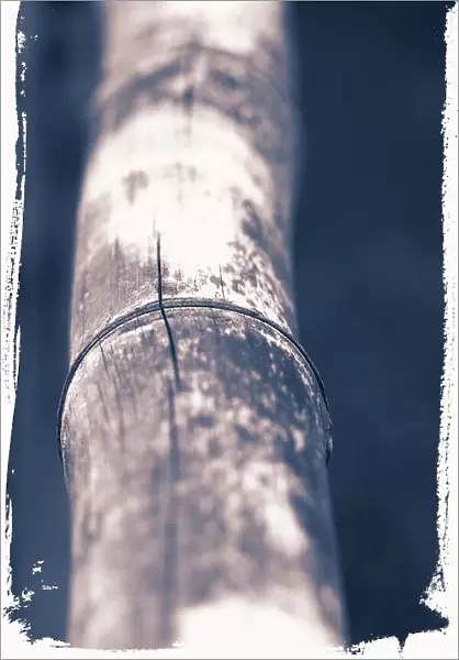 Closeup detail of bamboo stick