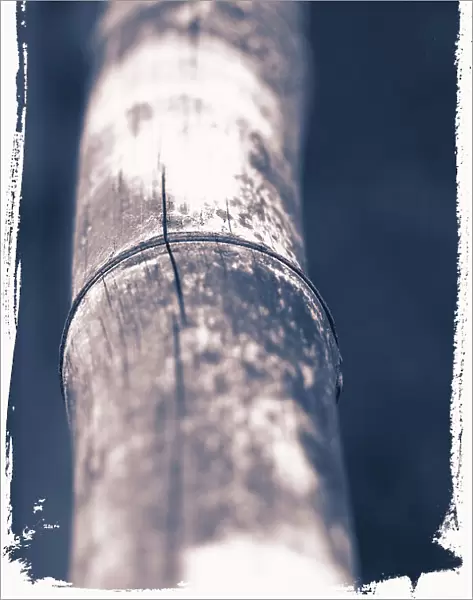 Closeup detail of bamboo stick