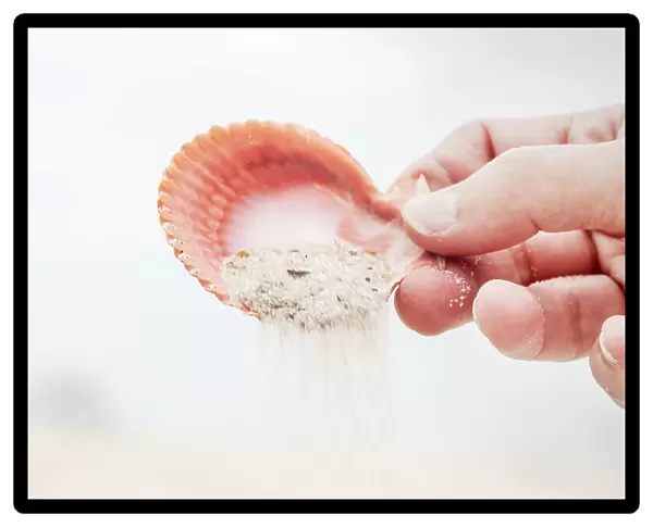 Pouring sand with seashell