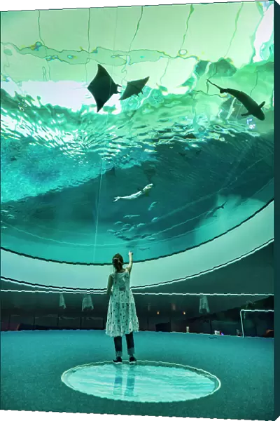 USA, Florida, Aquarium at the Frost Art Museum