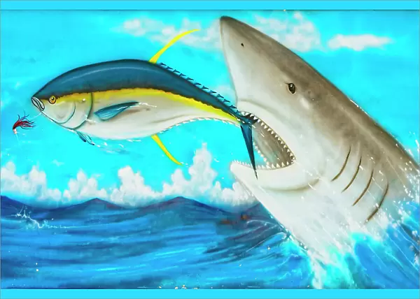 Florida, The Keys, Islamorada, mural of shark chasing fish
