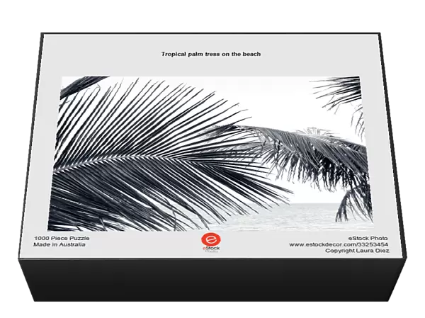 Tropical palm tress on the beach