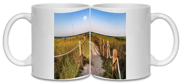 Florida, Delray Beach, pathway leading to beach with moon in sky